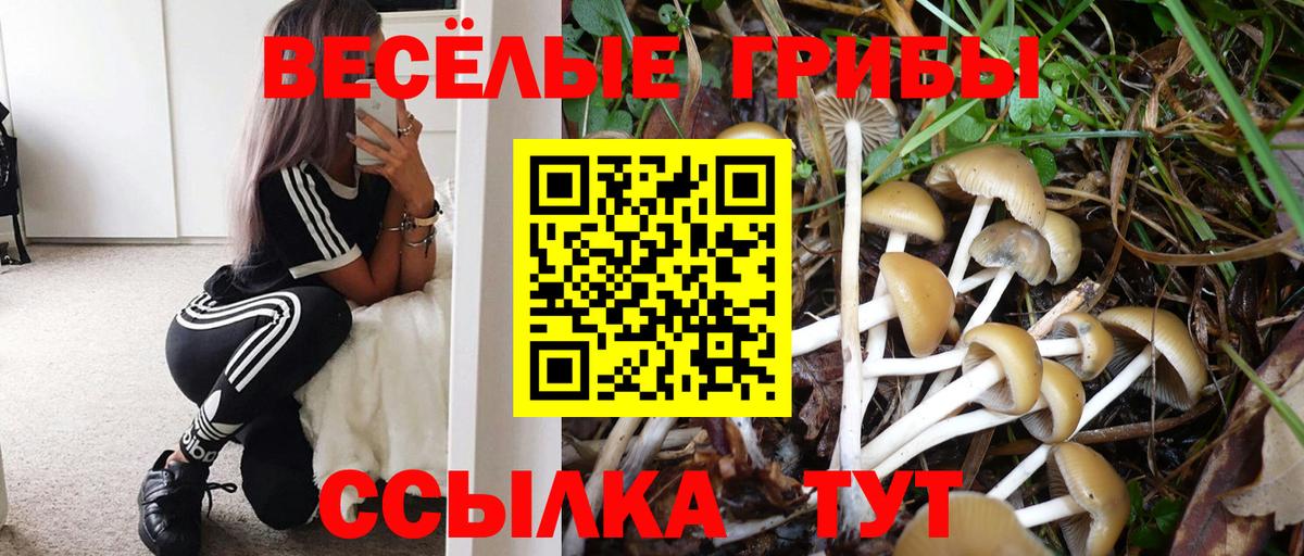 Псилоцибиновые грибы мицелий Ялуторовск