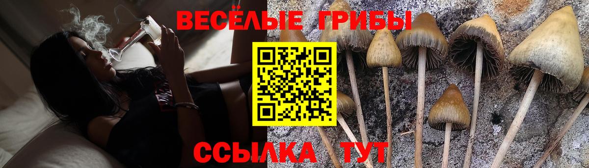 Ялуторовск  Галлюциногенные грибы мицелий  Галлюциногенные грибы Magic Shrooms  Вход с VPN 